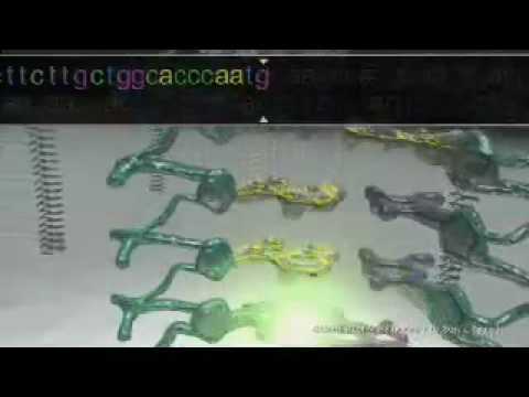 Microarray Method for Genetic Testing