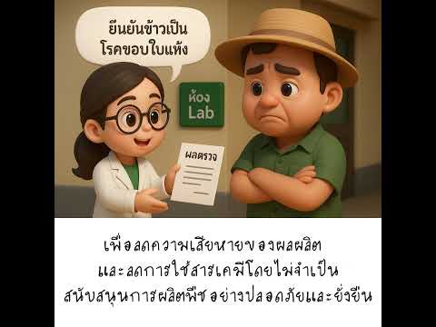 6 นาที รู้วิธี… หยุดโรคขอบใบแห้ง!!