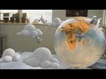 See Video