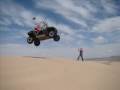 A day at the dunes...