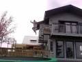 videos de TRAMPIN MAY 12 for web