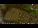 Runescape Thief Lord