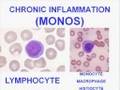 Medical School Pathology, Chapter 2e