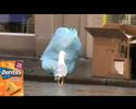 Doritos advert Doritos advert