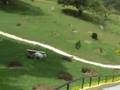 videos de Ecolandia