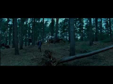 See video
