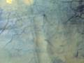 fabric paper