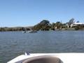Boating the Tweed