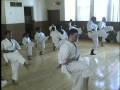 videos de GojuEliteDojo1