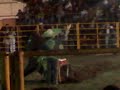 FERIA PACHUCA 2008 la puerta negra charro RODEO FERIA PACHUCA 2008 la puerta negra charro RODEO