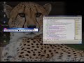 AIGLX BERYL on PARDUS