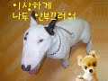 이명박의 실체를 파헤친다,bbk,김경준