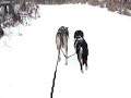 Skijoring without poles holding the camera.