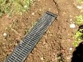 The Big Drain