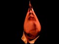 Nikos Veliotis - I was about to say Nikos Veliotis - I was about to say