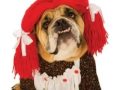 halloween, costume, pet, dog, cat