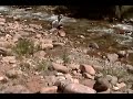 In the creek: campsite on day 2