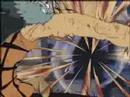 Luffy\ Luffy\