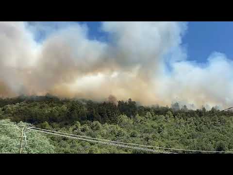 Elba, incendio Capo d'Arco visto dalla strada provinciale