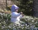 Vestfold Natur Vestfold Natur