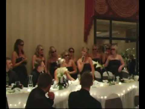 Maid of Honor Wedding Speech  - Funny!!!