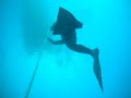Blue-Freediver