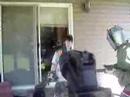 Cat hunter queen
