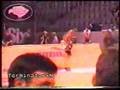 2006-11-28 | Munster 1995 (Crap #5 - 1995) skate gijon ~> Ethan Fowler, Ray Barbee, Markus Sagunsen, Jaime Thomas, Butano, Carl Shipman, Eric Koston, Keith Hufnagel, Rick Howard, Ron Creager, " (08:28)