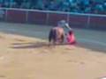 videos de The Bull Fight (Pepín Liria)