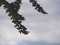 Susumu Yokota - Secret Garden