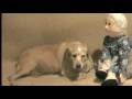 Nonna Maria vs. Dog