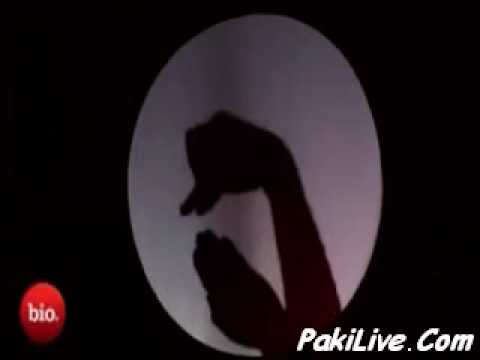 Hand Shadow - What a wonderful world