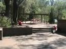 Stopanimation Amazing race around penno high