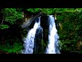 【作業用BGM・勉強用BGM】滝と小鳥のさえずり3時間版