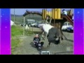 Recopilacion de caidas de ancianos