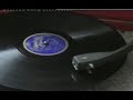 ポメラニアン動画