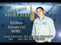 hit 2012 dilber jasarevic bibe