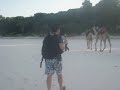 white-sand beach along kenya coast... impressively beautiful. they even move the camels there to attract tourists