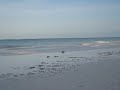 white-sand beach along kenya coast... impressively beautiful. they even move the camels there to attract tourists