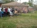 Dobie Fights: Lopez vs. Salinas Dobie Fights: Lopez vs. Salinas