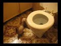 Re: The Ferret Guy talks to Tucker about Guiliani