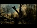 Henrik Levy - Cage-bird Song