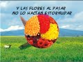 El colibr�