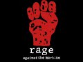 Rage against the machine-renegades of funk