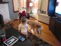 Addie trying to dance with the Doodles.MOV