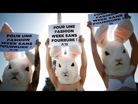 Pariser Modewoche: Peta-Aktivisten fordern pelzfreie ...