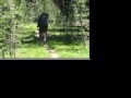 hiking-to-the-into-the-wild-bus-pictures-slideshow.html