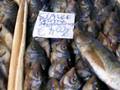 Fresh Fish!! Street vendor in Lipari - Sicily