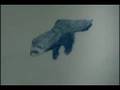 Amateur Animation--3rd assignment--Ferret Fun