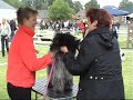 Cliquez pour voir la vid�o